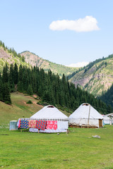 Fototapeta na wymiar Yurt camp