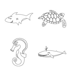 Vector illustration of sea and animal sign. Collection of sea and marine stock symbol for web.
