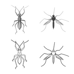 Vector design of insect and fly logo. Set of insect and element vector icon for stock.
