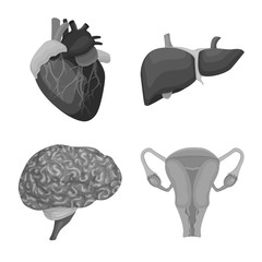 Isolated object of body and human icon. Set of body and medical vector icon for stock.