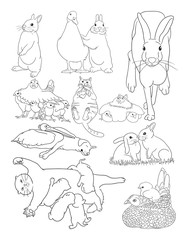 Cute pets line art. Good use for symbol, logo, web icon, mascot, sign, or any design you want.