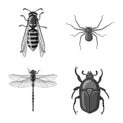 Isolated object of insect and fly icon. Collection of insect and element stock vector illustration.