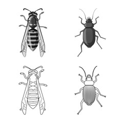 Vector illustration of insect and fly symbol. Set of insect and element stock vector illustration.