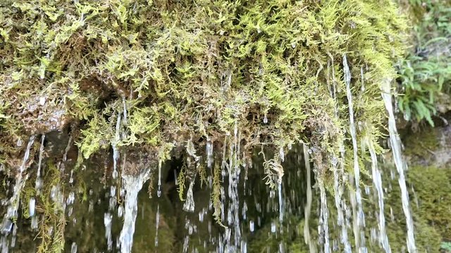 Travertine waterfall Dreinmuehlen (engl. three mills) at Nohn in  Vulkan Eifel region (Germany)