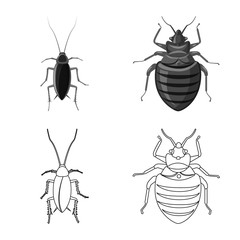 Vector design of insect and fly symbol. Collection of insect and element stock symbol for web.