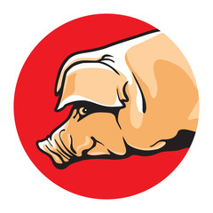 Pig vector illustration. Color drawing of single pork animal on red circle, graphic arts and cartoon design style.