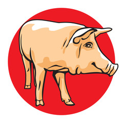 Pig vector illustration. Color drawing of single pork animal on red circle, graphic arts and cartoon design style.