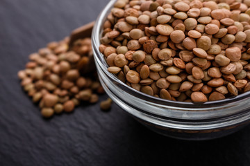 raw lentils on a dark stone background