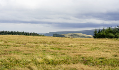 Panorama of wind blowing through the yellow grass field on the top of moutain with gloomy sky, Wild meadow in the windy day in Autumn