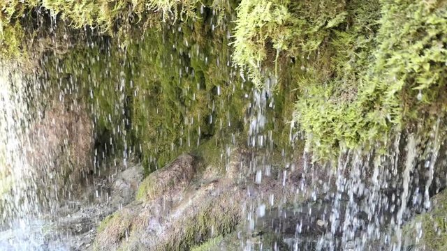 Travertine waterfall Dreinmuehlen (engl. three mills) at Nohn in  Vulkan Eifel region (Germany)