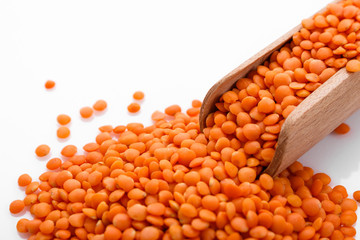 raw lentils on a white acrylic background