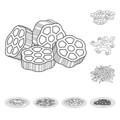 Vector illustration of pasta and carbohydrate logo. Collection of pasta and macaroni vector icon for stock.