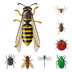 Isolated object of insect and fly symbol. Set of insect and element vector icon for stock.