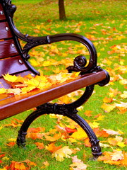 Fototapeta na wymiar Yellow leaves lie on bench in park in autumn