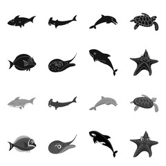 Fototapeta premium Isolated object of sea and animal logo. Set of sea and marine vector icon for stock.