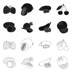 Vector design of vegetable and fruit sign. Collection of vegetable and vegetarian stock vector illustration.