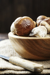 mushrooms boletus in a plate