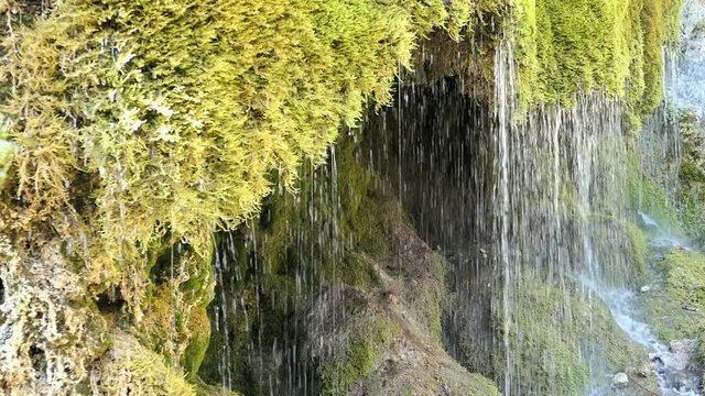Travertine waterfall Dreinmuehlen (engl. three mills) at Nohn in  Vulkan Eifel region (Germany)