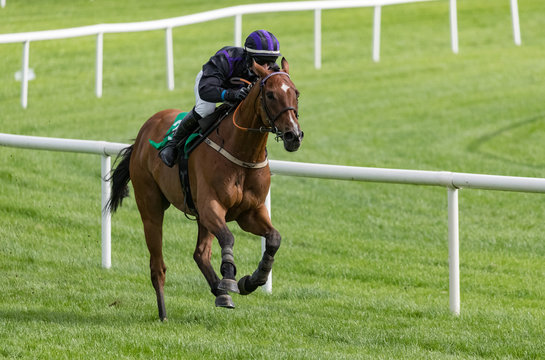 Close up on single race horse and jockey racing around the track