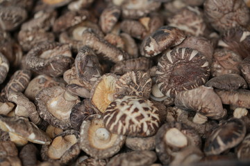 Ganoderma Lucidum Healthy Food Market Yaowarat