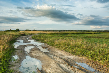 Puddles after rain on a dirt road