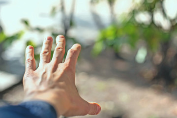 Women's hand in the sunlight, conceptual images. The idea of nature and life