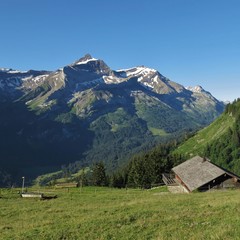 Fototapeta na wymiar Mount Oldenhorn in summer. Bernese Oberland, Switzerland. 