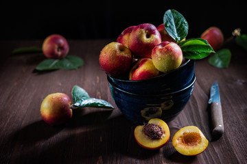 still life of nectarines in a bowl
