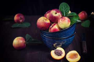still life of nectarines in a bowl
