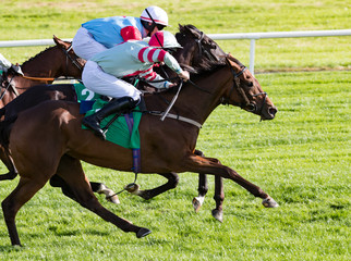 Sprinting towards the finish line, Galloping race horses and jockeys