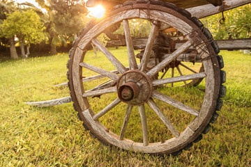 Fototapeta na wymiar Wheel of a vintage cart at sunset.