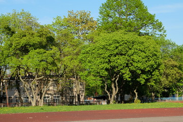 Spring in City of Minsk