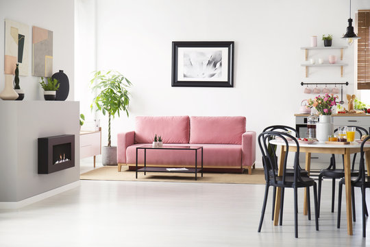 Black chairs at table with flowers in spacious flat interior with poster above pink sofa. Real photo