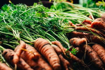 Fresh carrots close-up on a wooden background