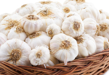 Pile of Fresh Organic Garlic Isolated on White Background
