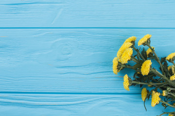 Yellow dahlia flowers on blue wood. Copyspace, free space for text.