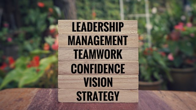 Business and financial Concept - Stacked wooden blocks with words ‘Leadership, Teamwork, Vision, Confidence, Strategy and Management’ written on them. Blurred styled background.