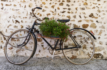 Fototapeta na wymiar Old Bike Flowers Wall