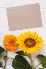 Unripe sunflowers and blank paper. Copysoace, free space for text. White wood background.