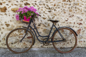 Fototapeta na wymiar Old Bike Flowers