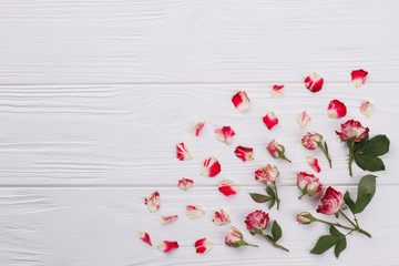 Dry rose flowers and petals. White wooden table background.