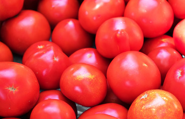 Lots of red tomatoes in supermarket.