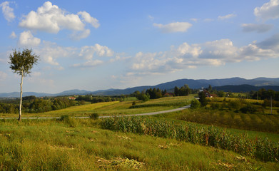 Fototapeta na wymiar green fields near the mountain 