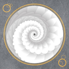 Obraz premium White for Circle Background