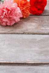Carnation flowers on rustic wooden table. Close up. Copyspace.