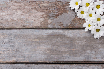 Old rustic wooden table with chamomile flowers. Top view. Copyspace.