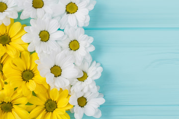 White and yellow chamomile flowers composition. Top view. Blue wooden background.