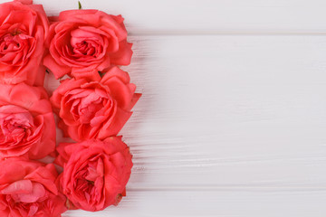 Red roses on white wood. Top view. Close up.