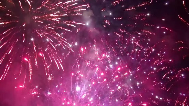 Colorful fireworks in the night sky