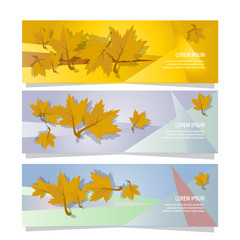 Fototapeta na wymiar autumn leaves banner background with falling leaves design